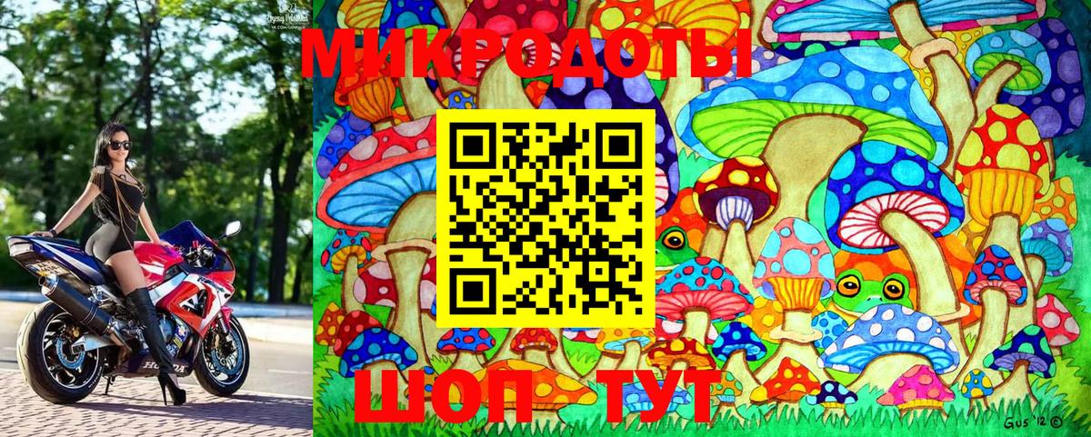 Псилоцибиновые грибы Magic Shrooms Саров